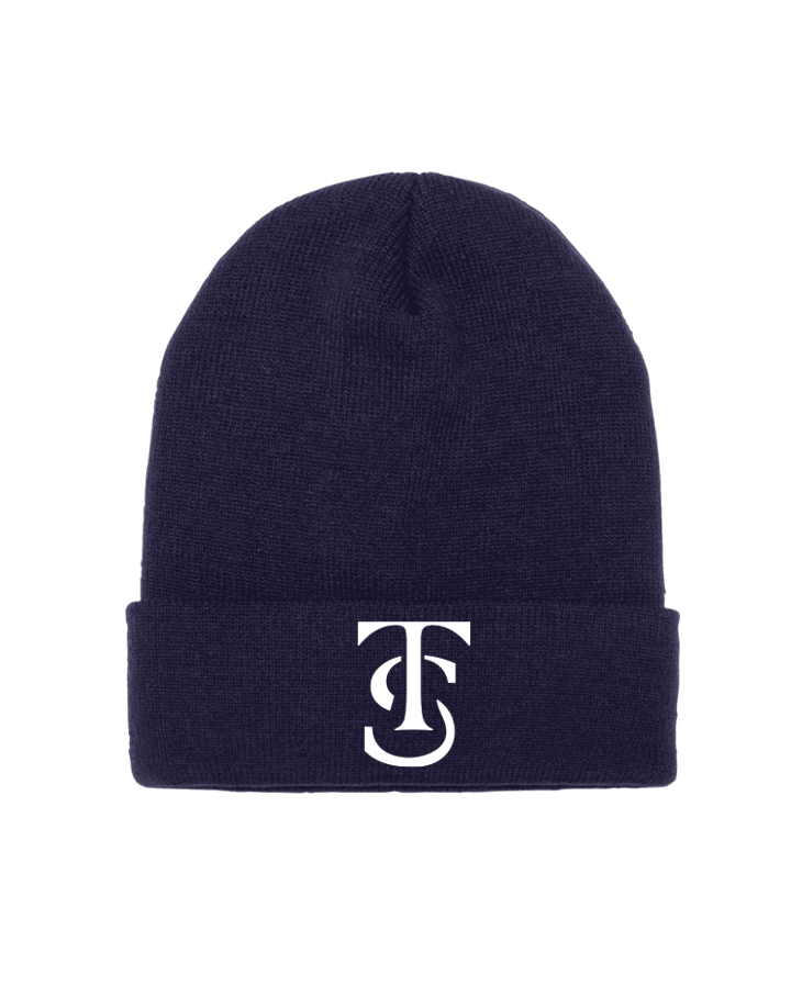 Icon Cuff Beanie - Navy