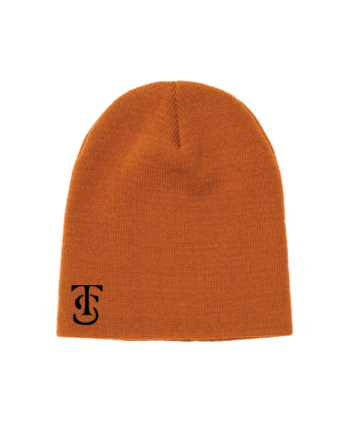 Icon Beanie - Carmel